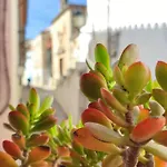 La Casina De Piedra Encanto - Parte Antigua De