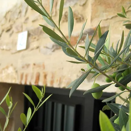 La Casina De Piedra Encanto - Parte Antigua De Holiday home *